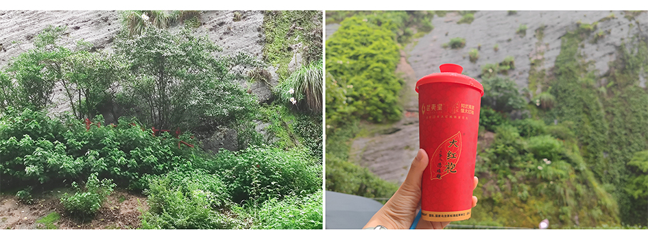J9集团·(中国)首页